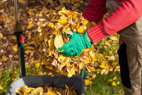 Types of home clearance services offered